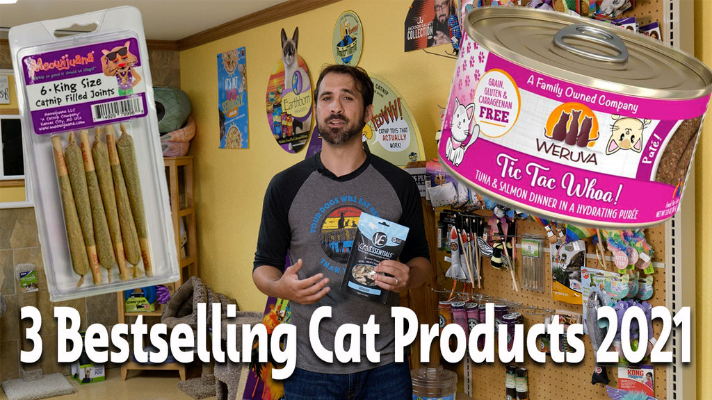 Our 3 most popular cat products of 2021