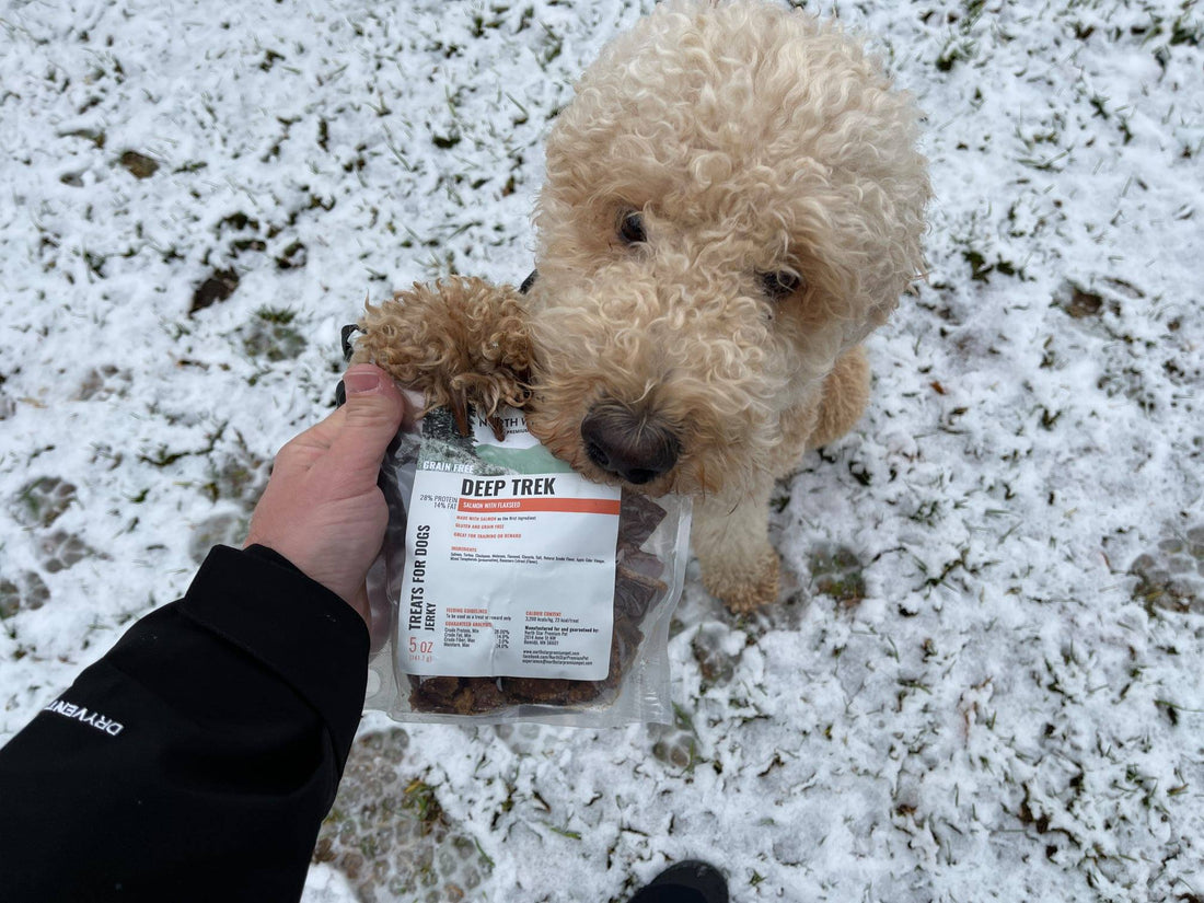 Why Treats Matter