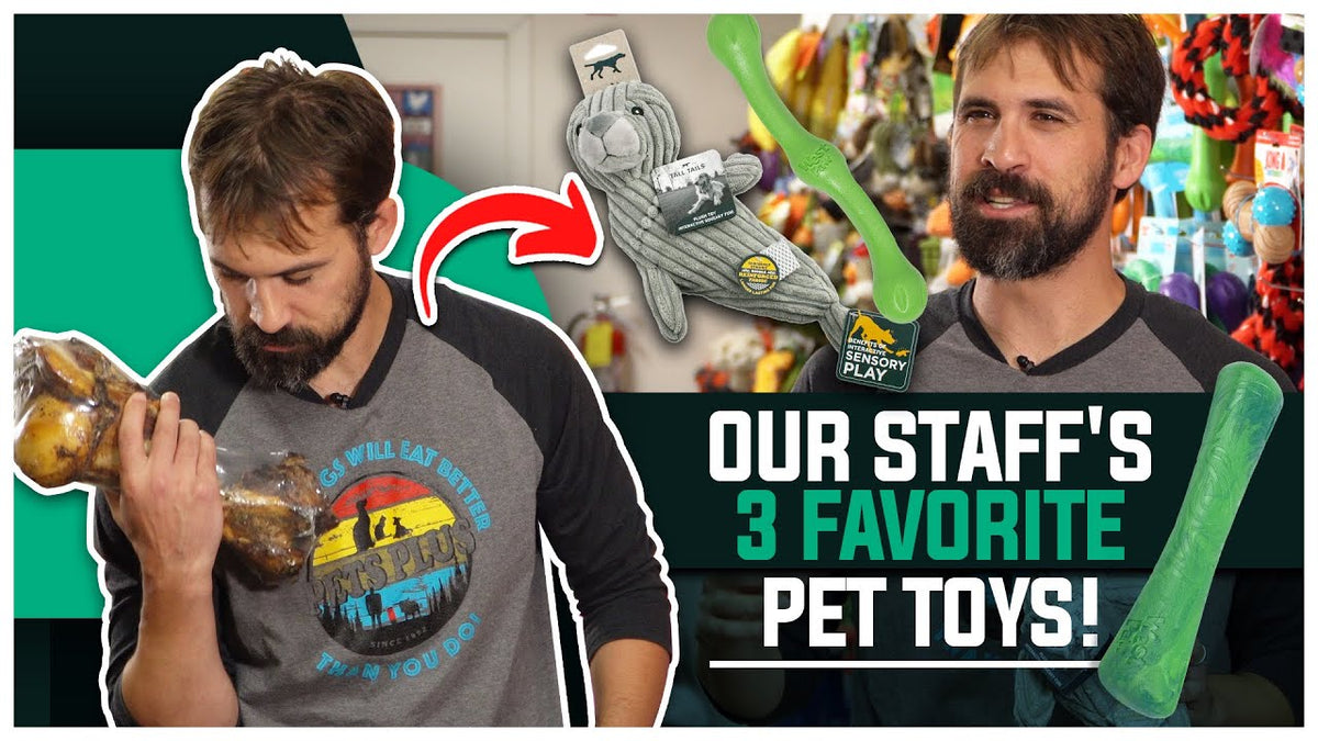 Our Staff's 3 FAVORITE Pet Toys!