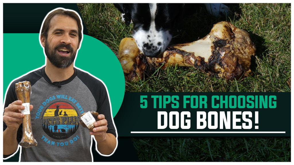 Choosing The Right Dog Bone For YOUR Dog: 5 Things You Should Know