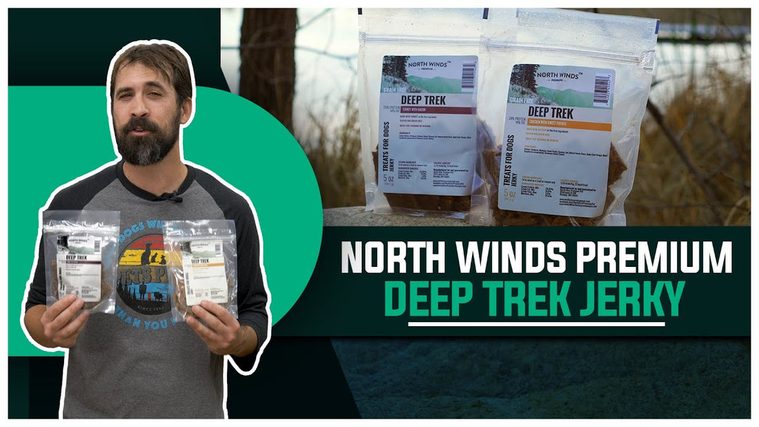 Beef Jerky For Dogs? YES!