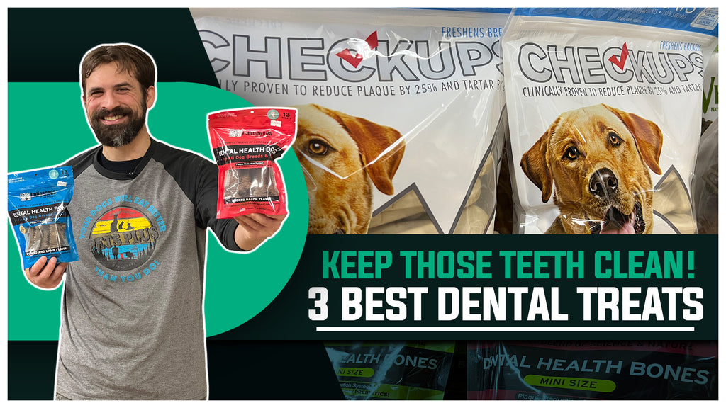 Protect Your Pup's Pearls: How to keep your dog's teeth clean!