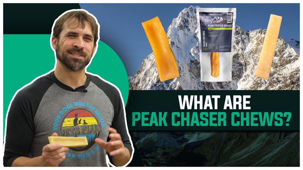 Peak Chaser Chews: Yak Cheese... For Dogs?