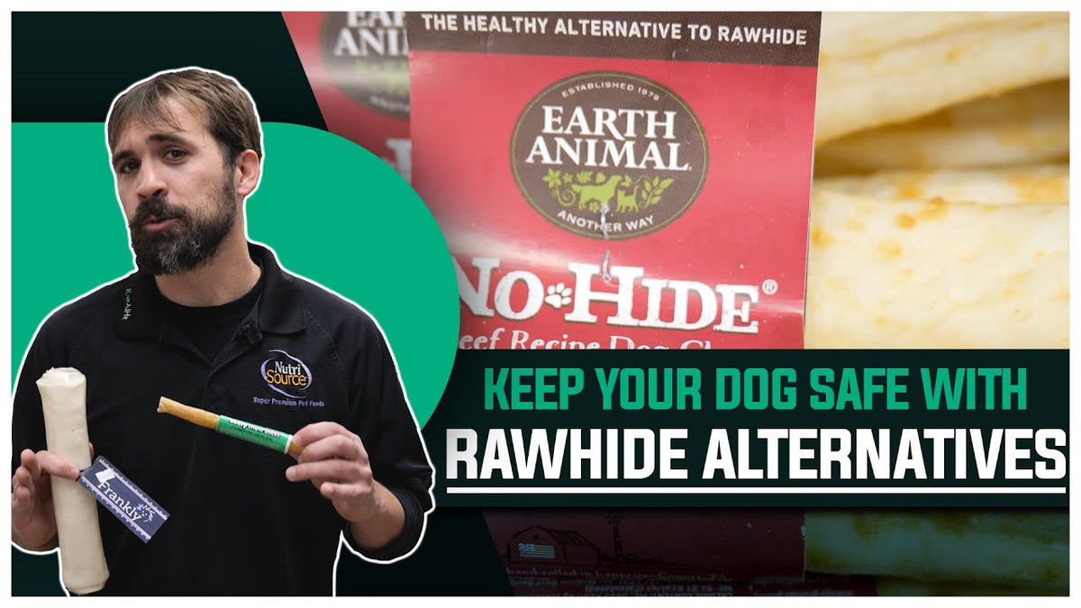 The 4 Best Alternatives To Rawhide Bones