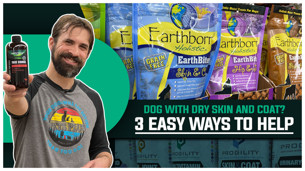 3 Ways To Help With Your Dog's Dry Skin