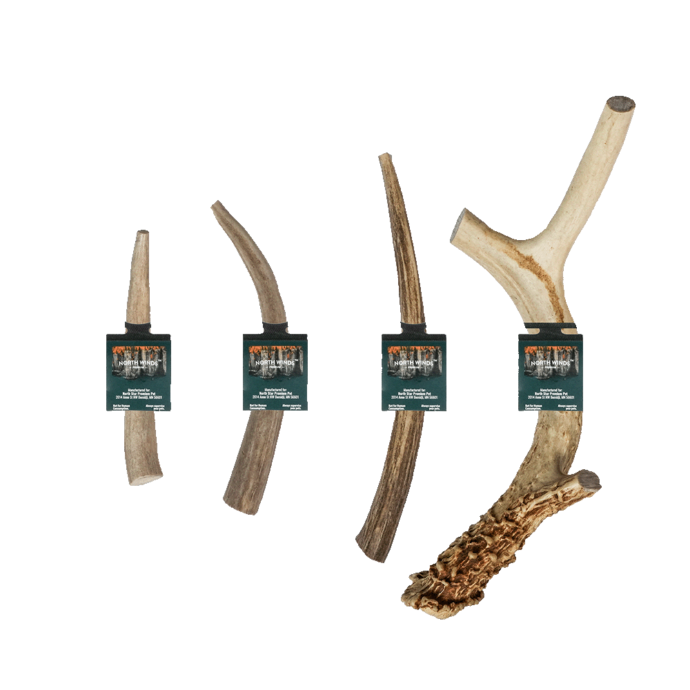 North Winds Premium Vista Point Deer Antlers