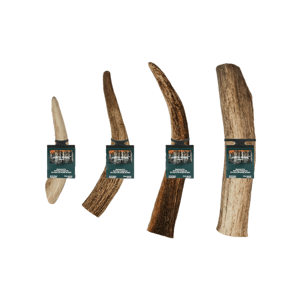 North Winds Premium Vista Point Elk Antlers - Whole