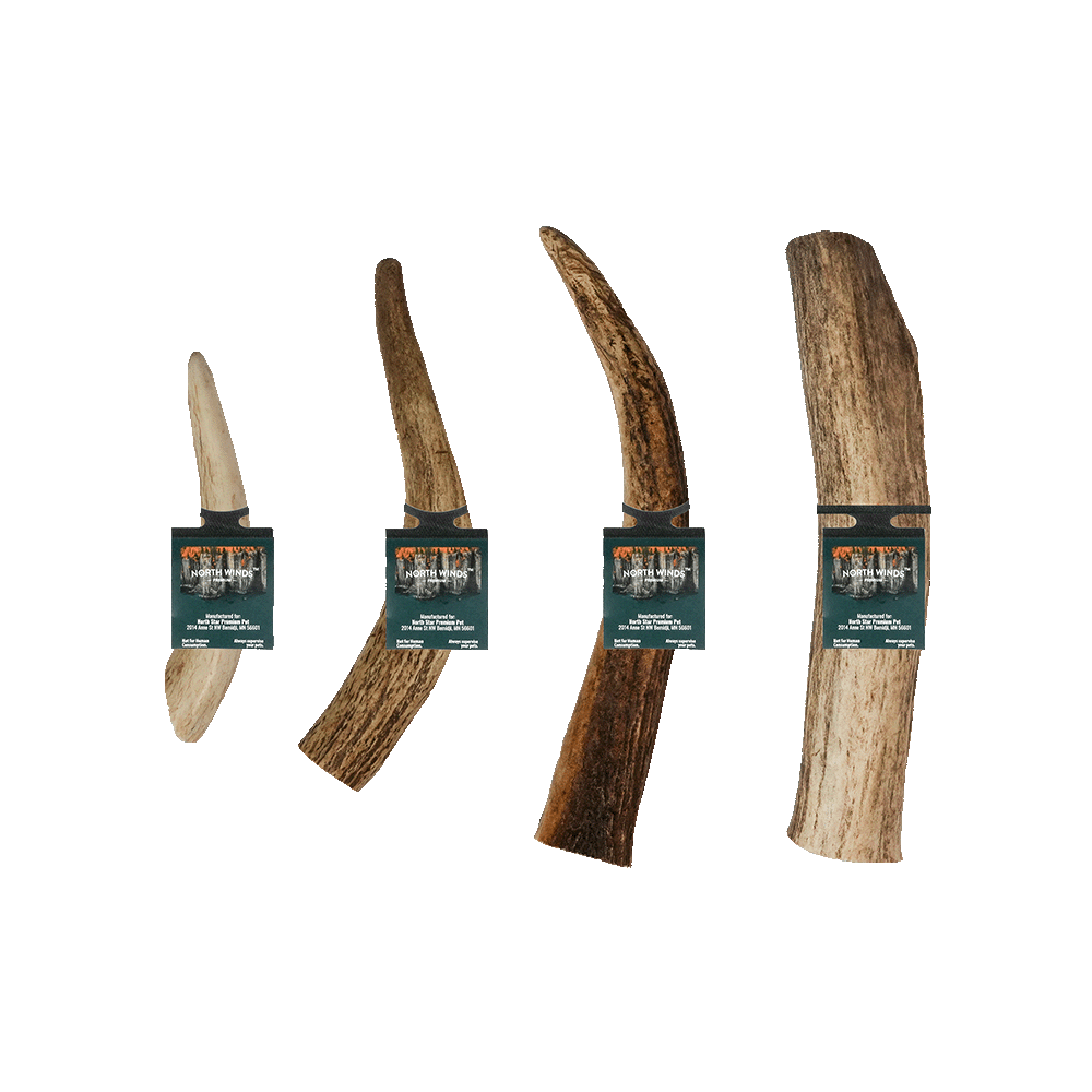 North Winds Premium Vista Point Elk Antlers - Whole