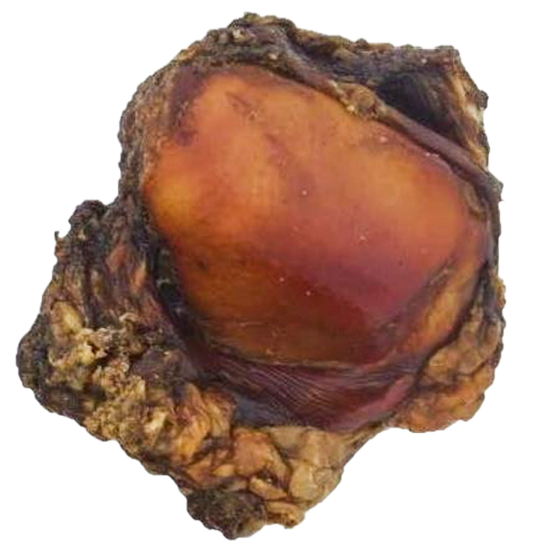 Beef Knee Cap