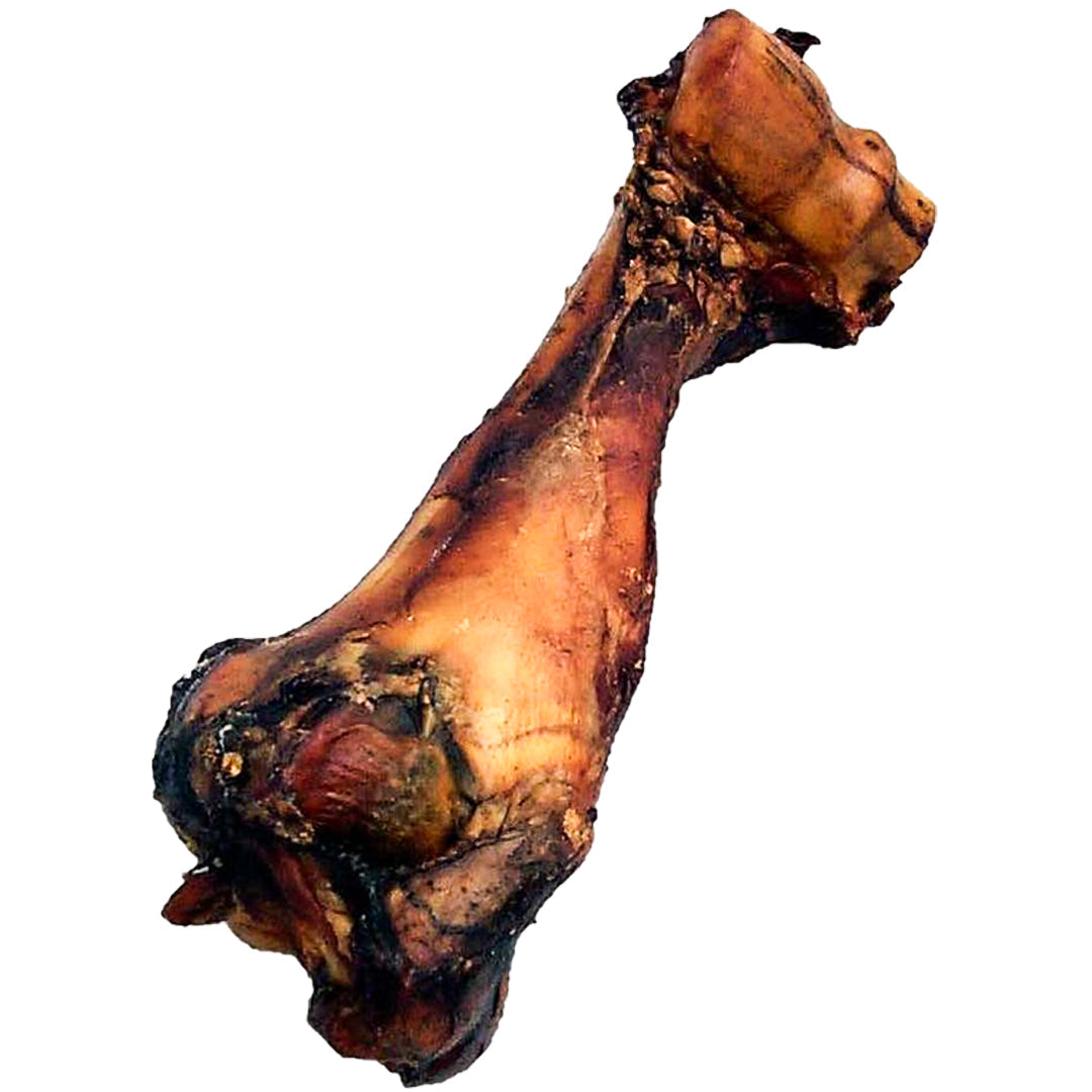 Beef Dino Bone - Case of 10