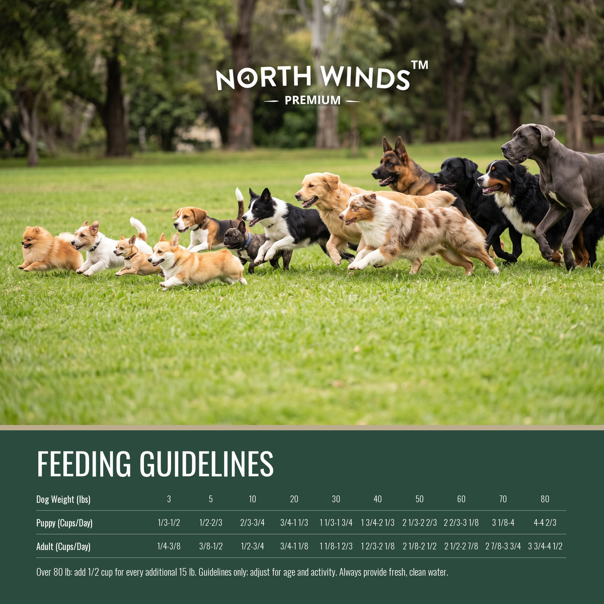 Navigator Salmon Meal Dog Food - Ancient Grains