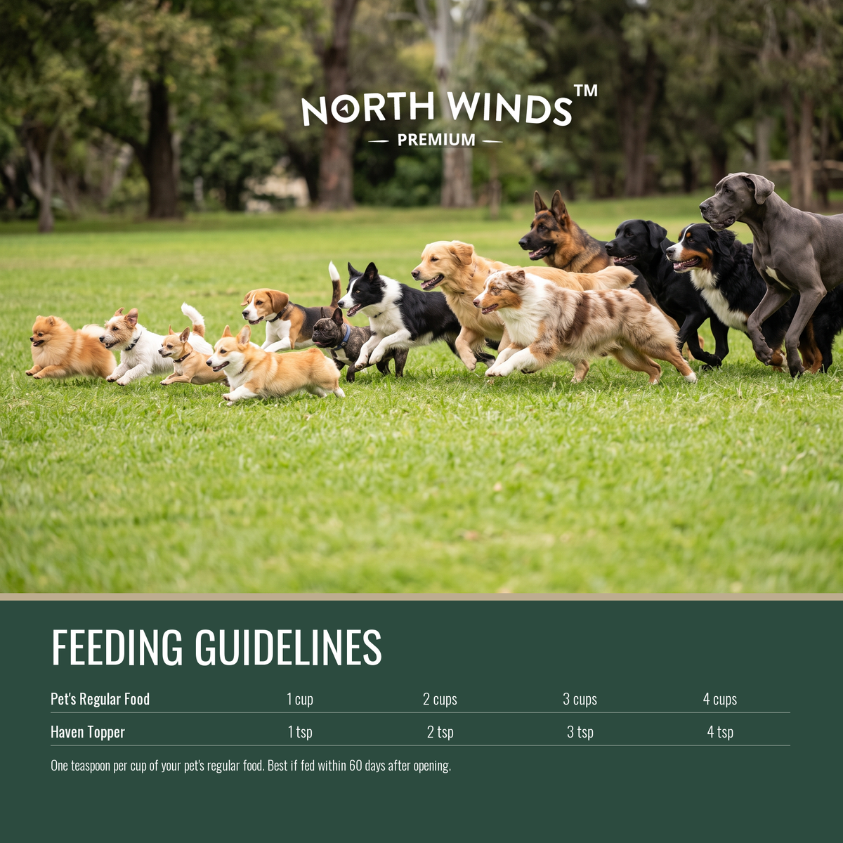 North Winds Premium Haven Freeze Dried Beef Liver with Turmeric Topper 4.5 oz feeding guidelines