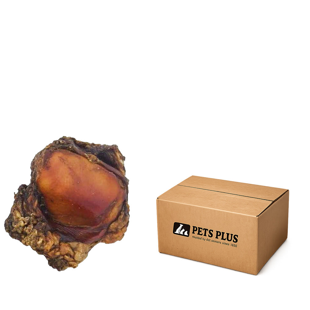 Beef Knee Cap - Case of 50