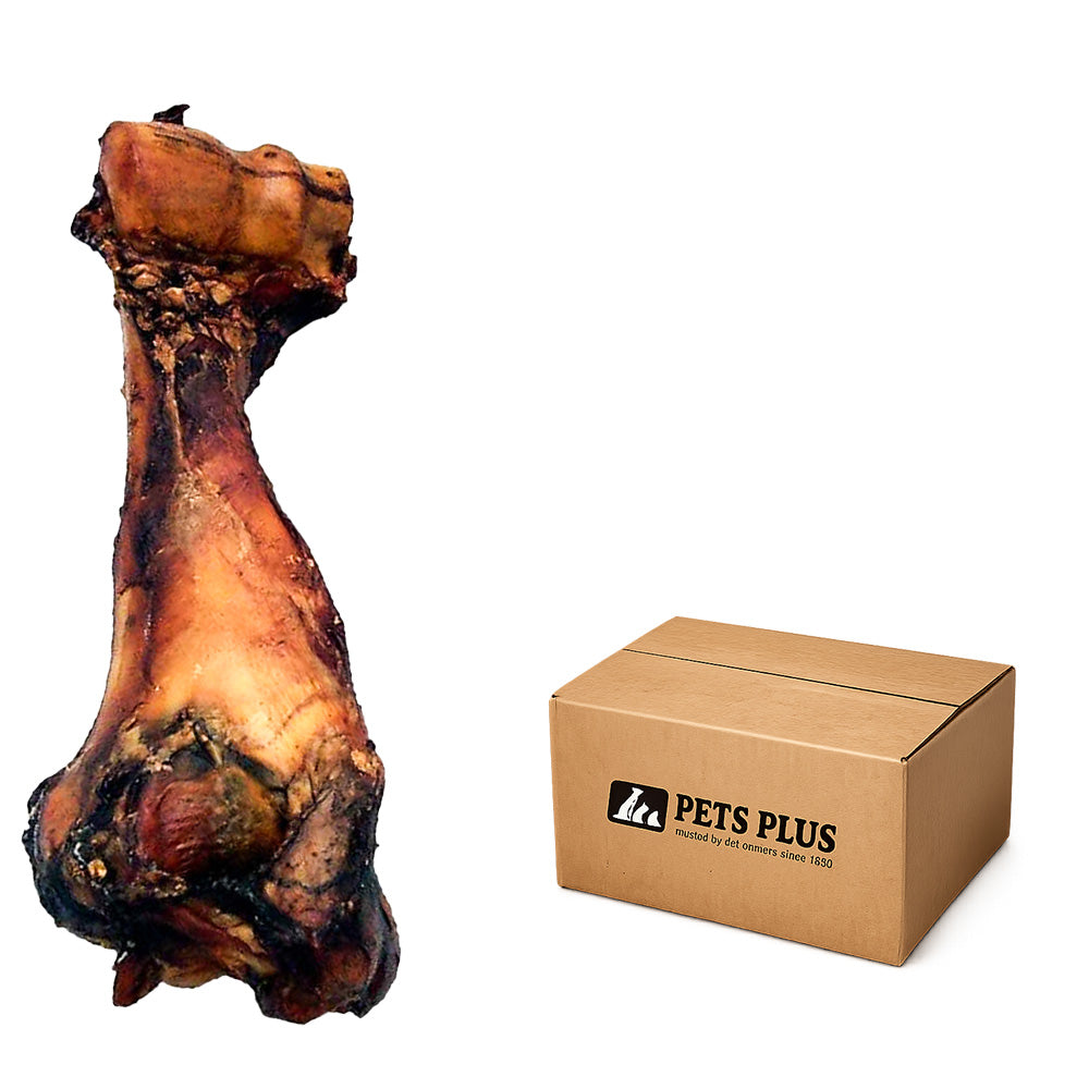 Beef Dino Bone - Case of 10