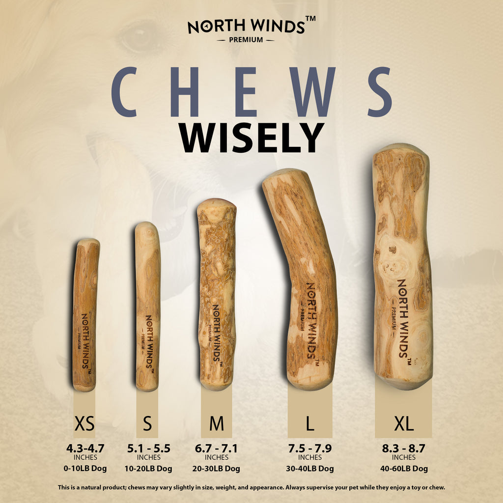 Timberborn Coffee Wood Chew - XS - Case of 50
