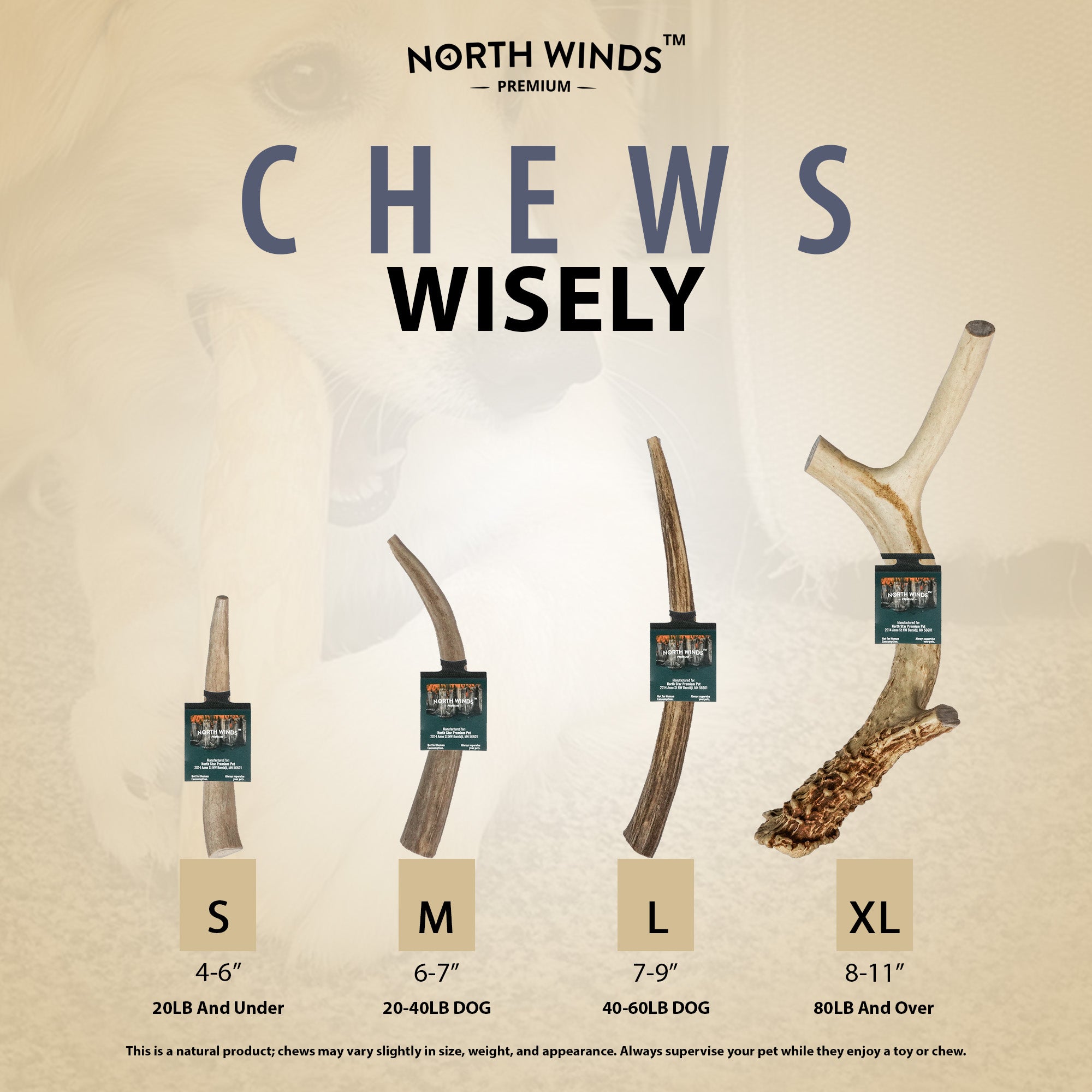 Vista Point Deer Antler - XL