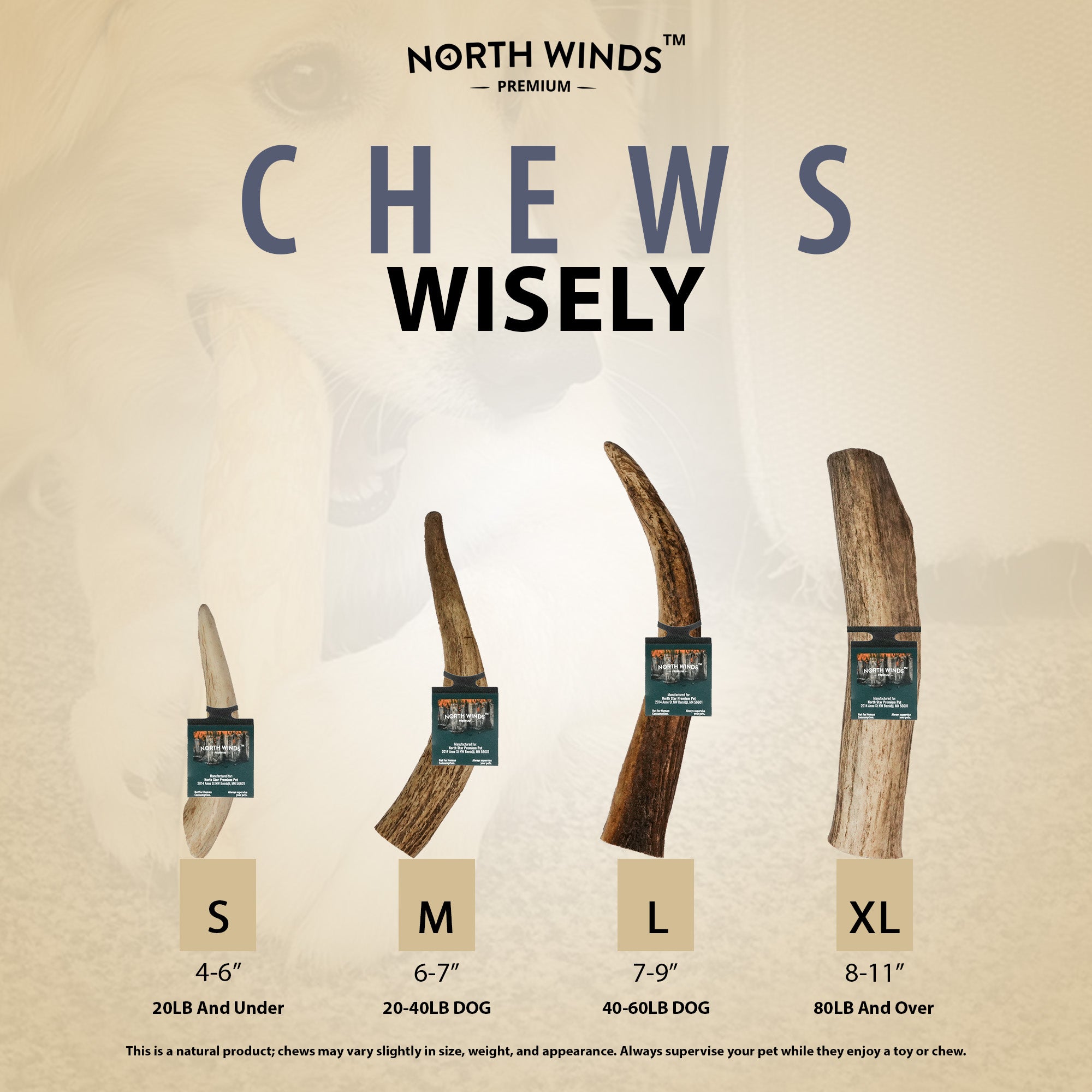 Vista Point Whole Elk Antler - Small