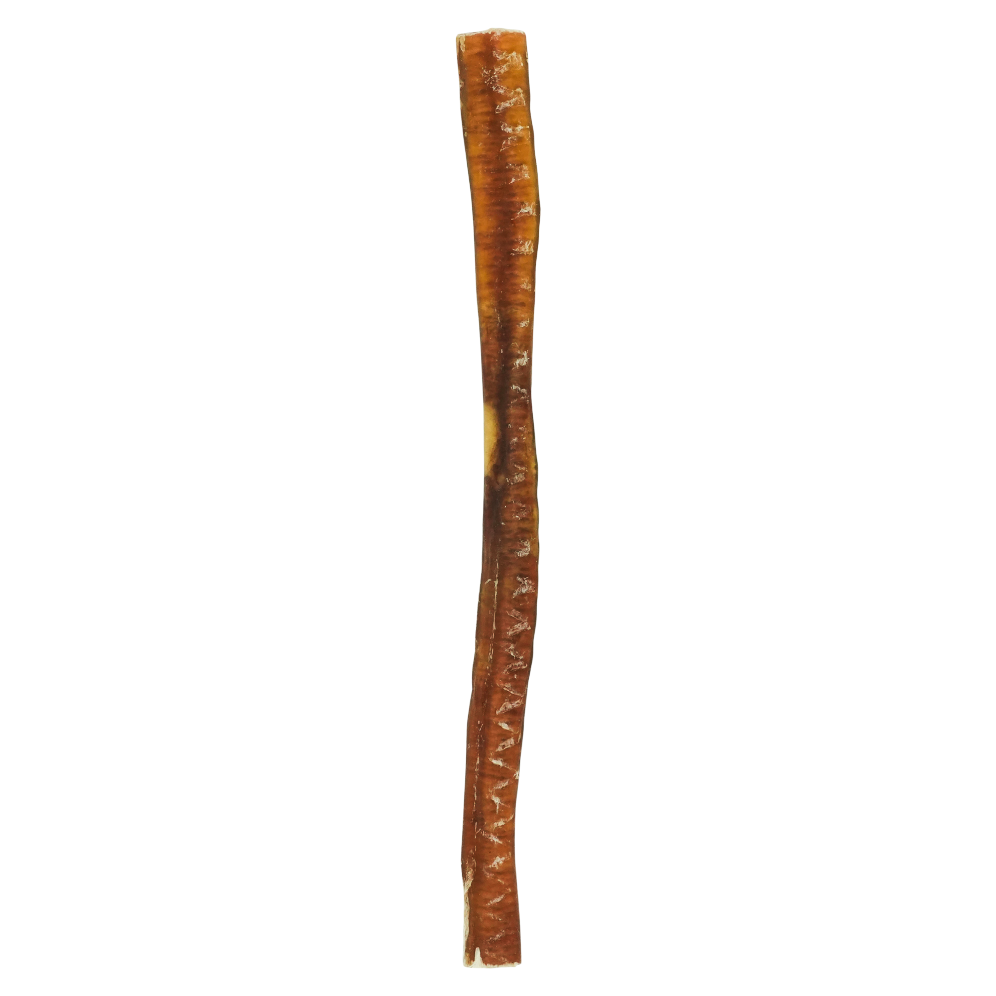 Odorless Bully Stick - 10-12"