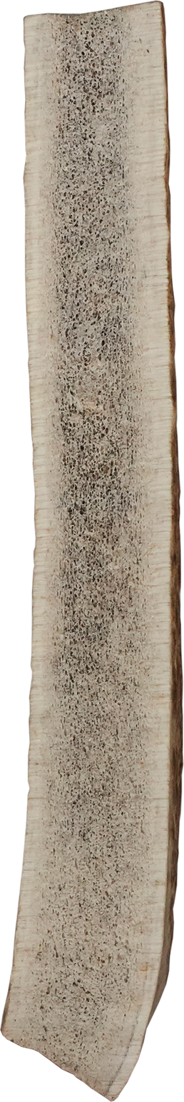 Vista Point Split Elk Antler - XL
