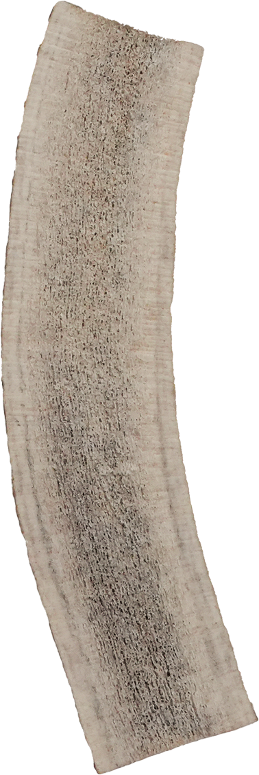 Vista Point Split Elk Antler - Large