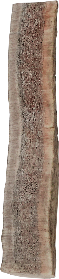 Vista Point Split Elk Antler - Medium