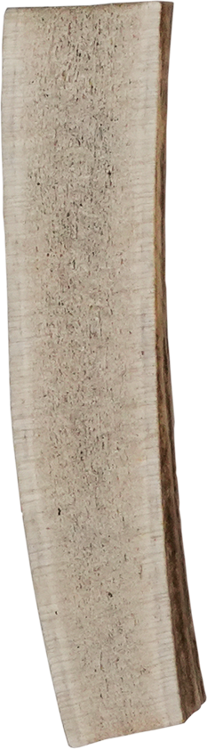 Vista Point Split Elk Antler - Small