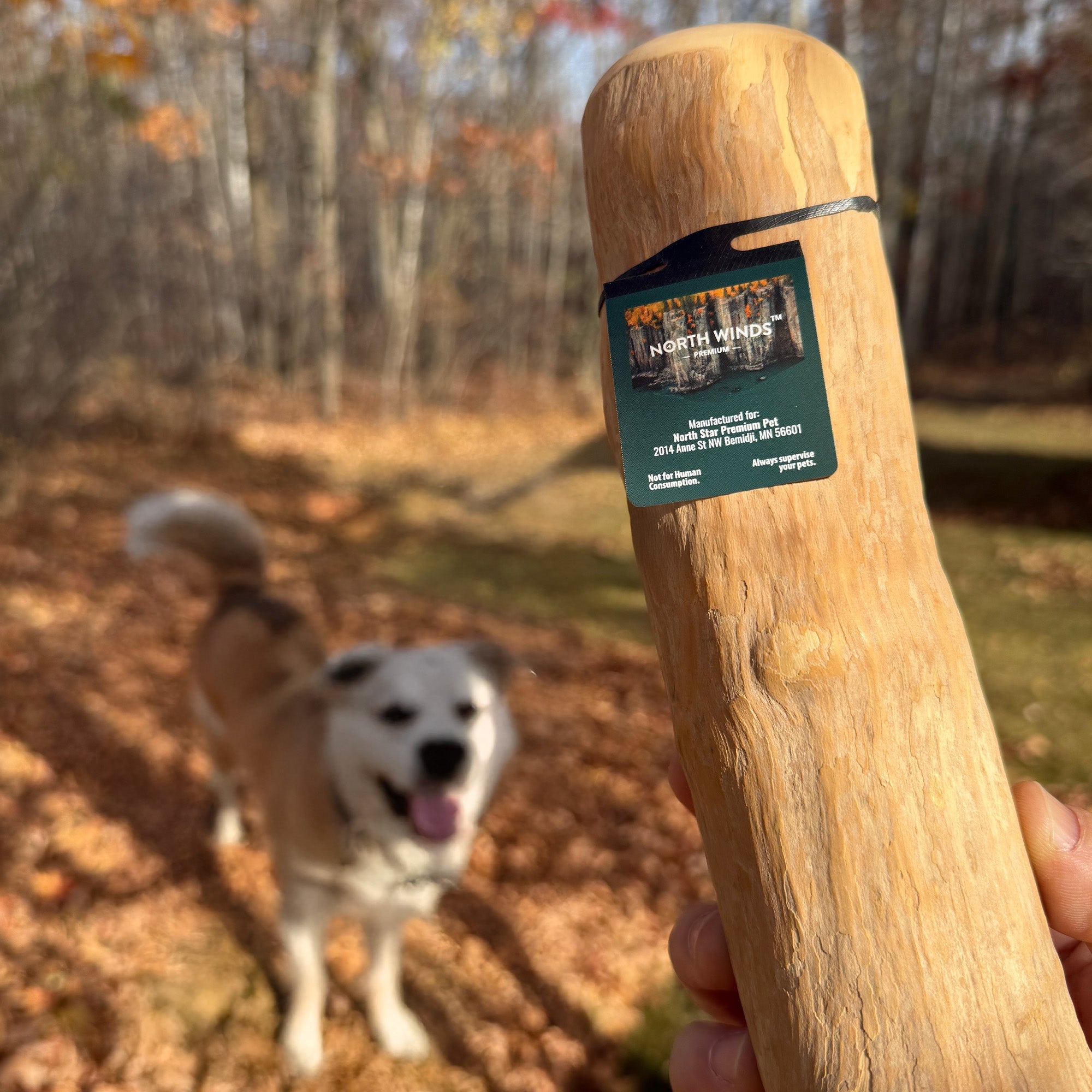 Timberborn Coffee Wood Chew
