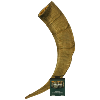 Uplander Goat Horn - Large