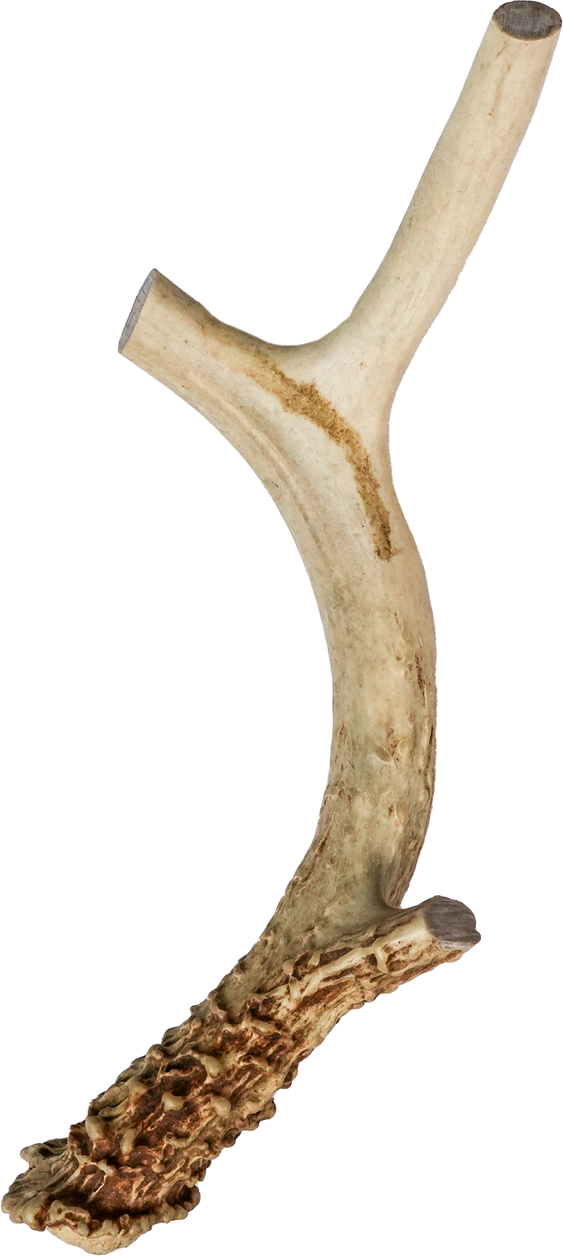Vista Point Deer Antler - XL