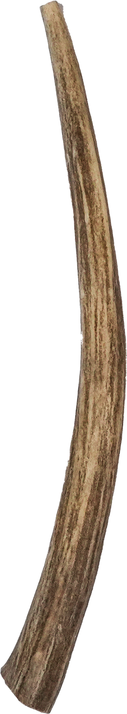 Vista Point Deer Antler - Large