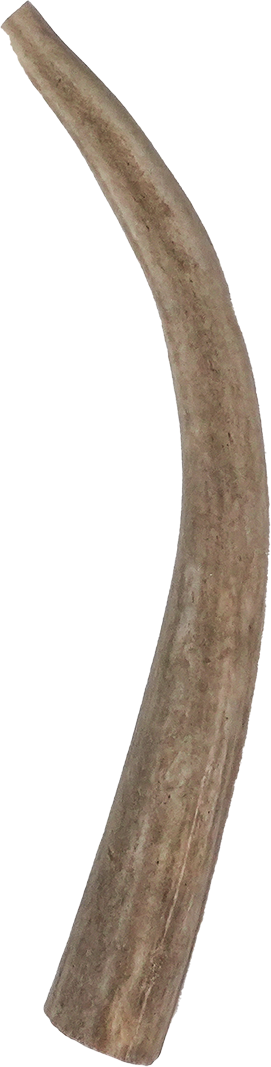 Vista Point Deer Antler - Medium