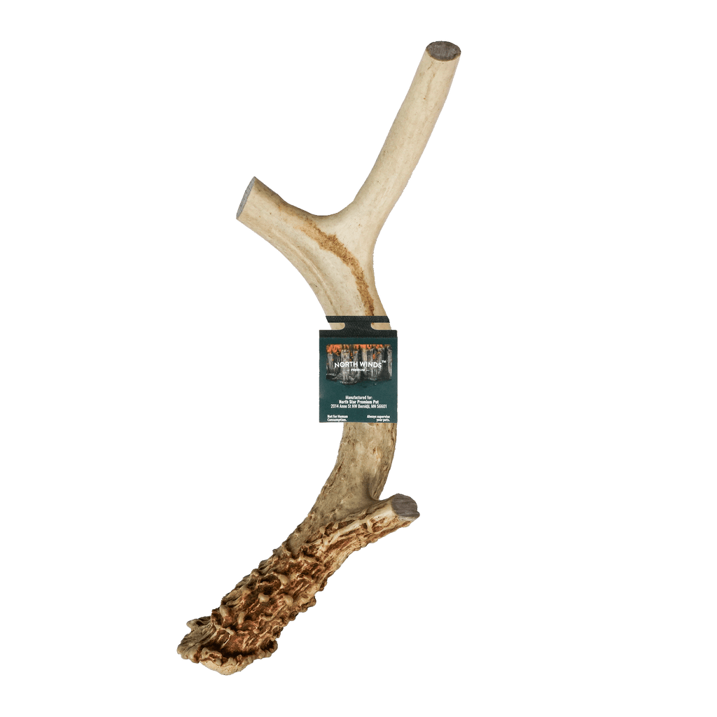 Vista Point Deer Antler - XL