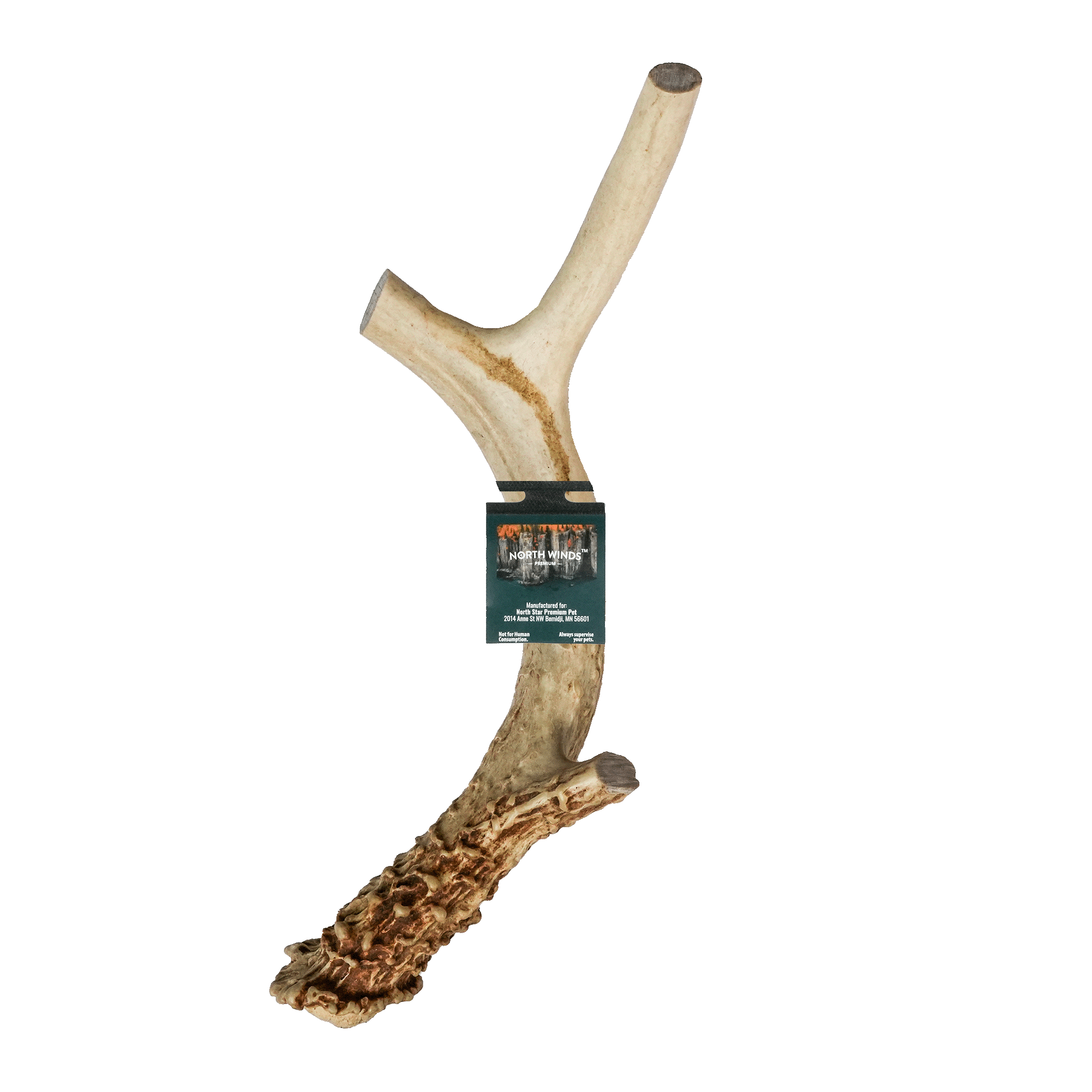 Vista Point Deer Antler - XL