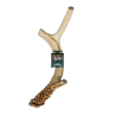 Vista Point Deer Antler - XL