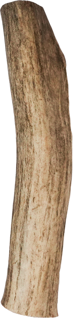 Vista Point Whole Elk Antler - XL