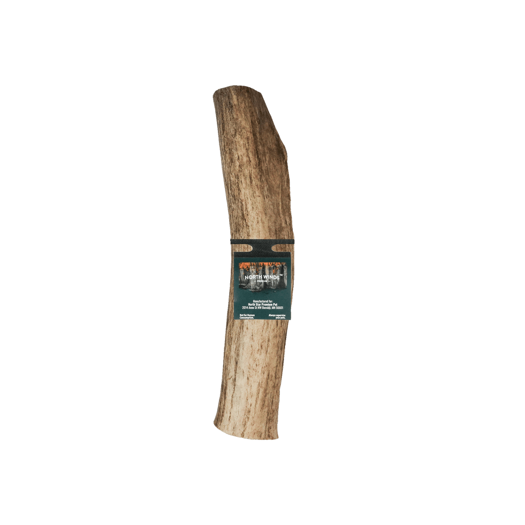Vista Point Whole Elk Antler - XL - Case of 10