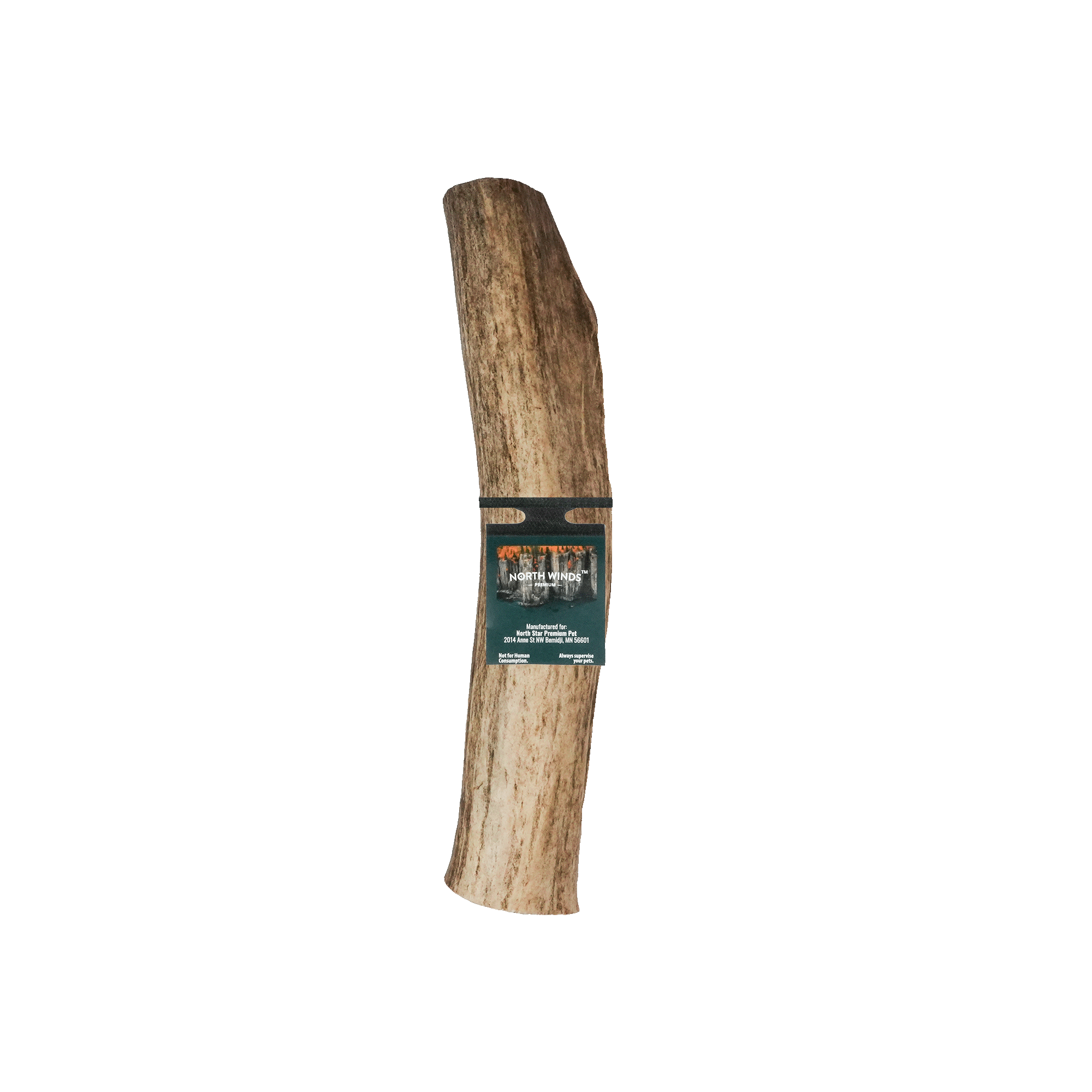 Vista Point Whole Elk Antler - XL