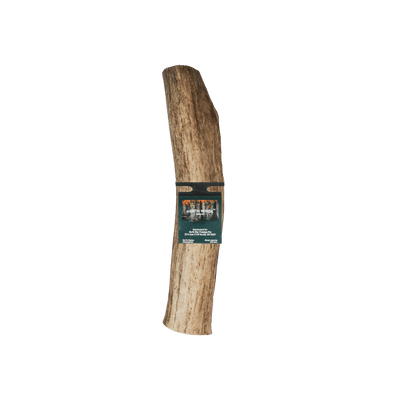 Vista Point Whole Elk Antler - XL