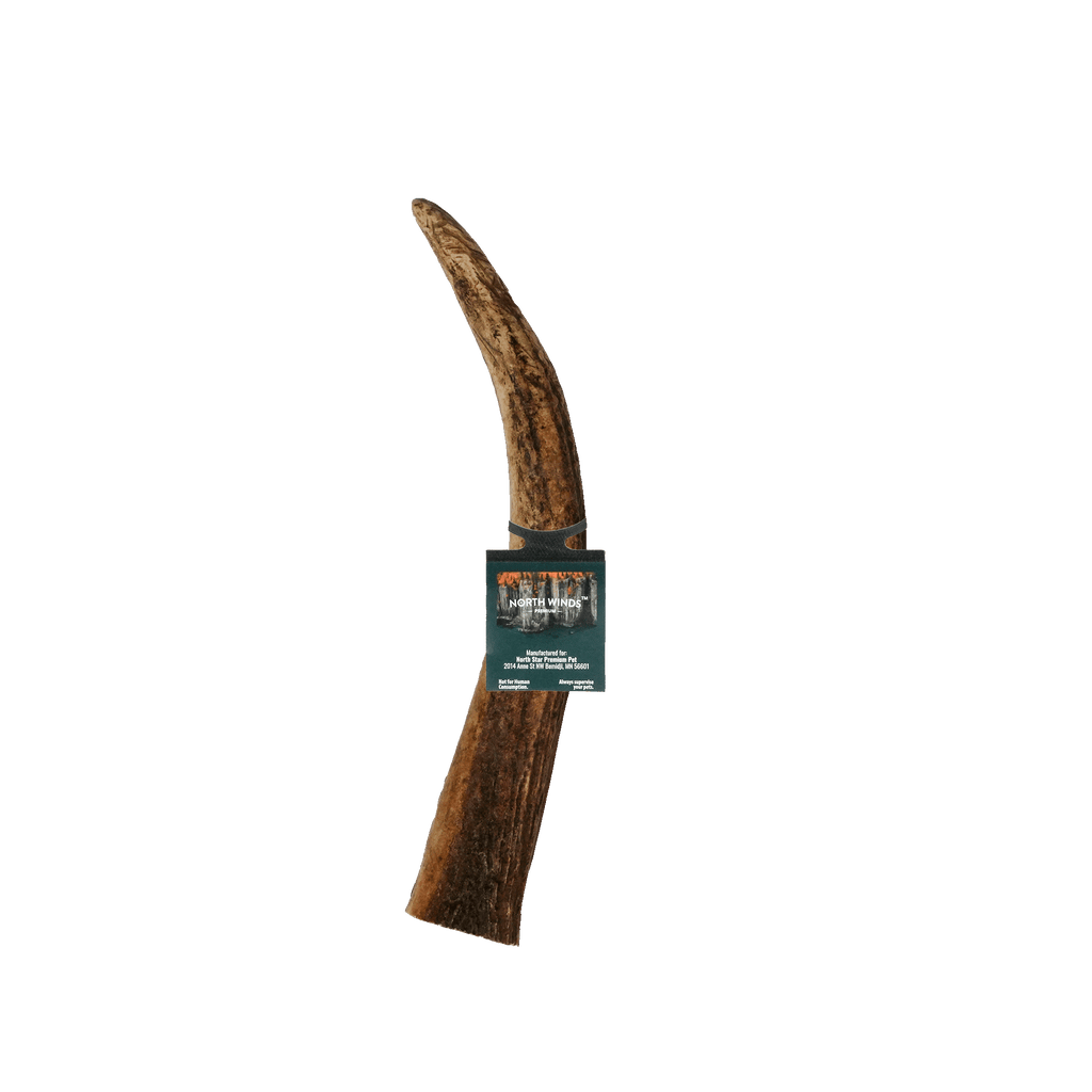 Vista Point Whole Elk Antler - Large - Case of 15