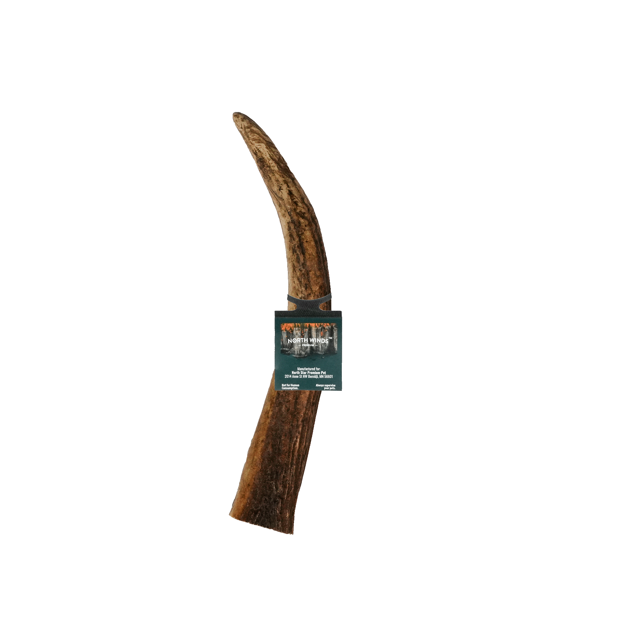 Vista Point Whole Elk Antler - Large