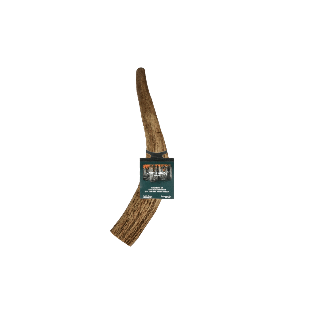 Vista Point Whole Elk Antler - Medium - Case of 20