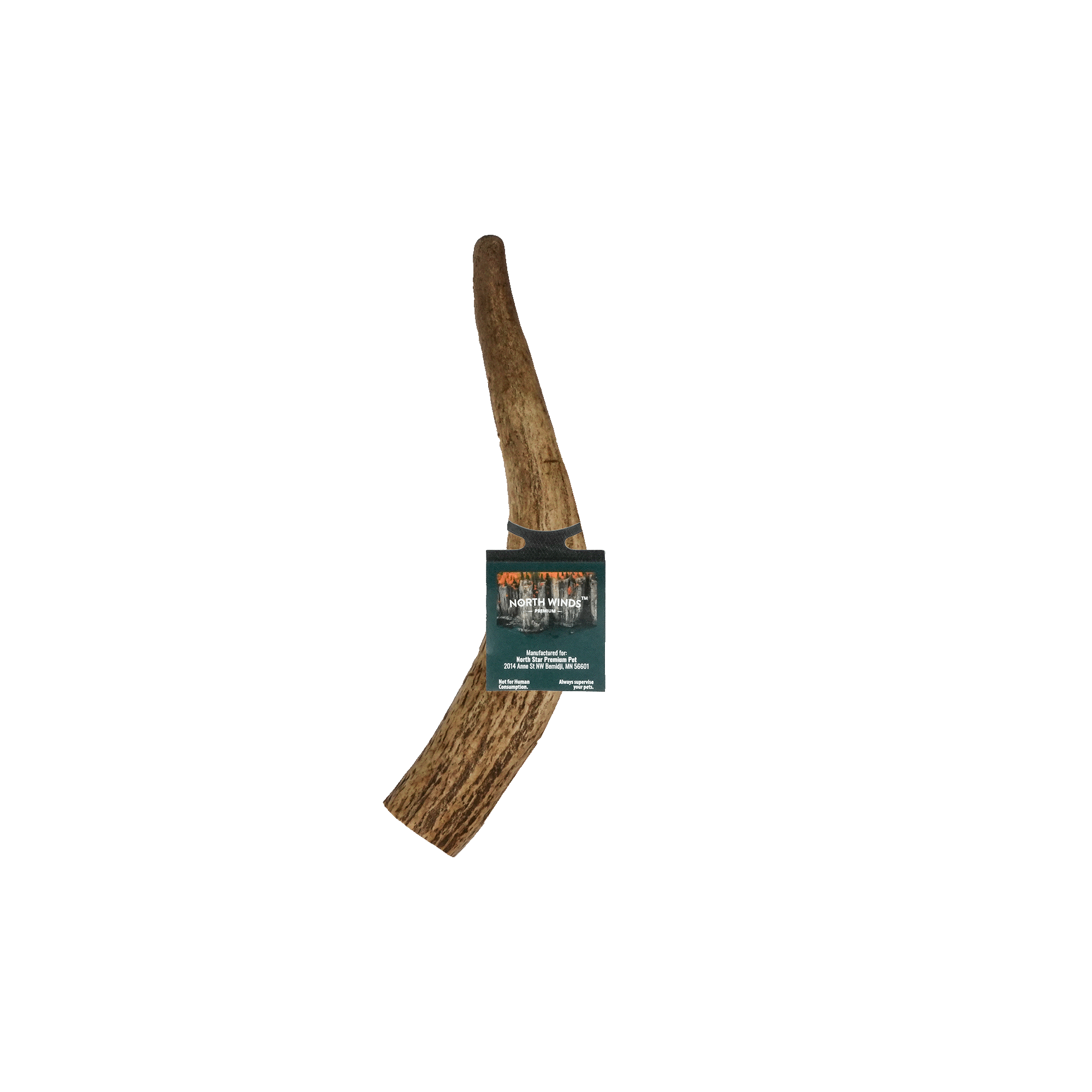 Vista Point Whole Elk Antler - Medium