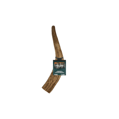 Vista Point Whole Elk Antler - Medium