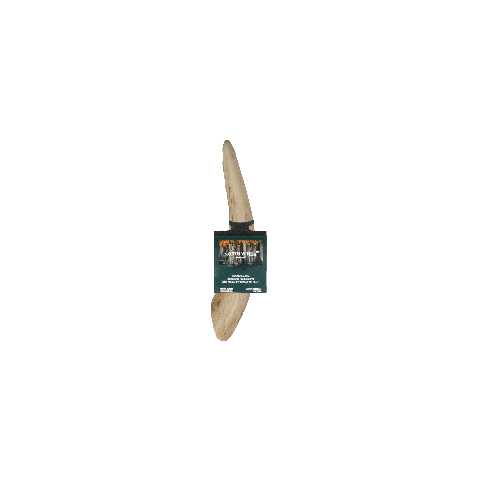 Vista Point Whole Elk Antler - Small