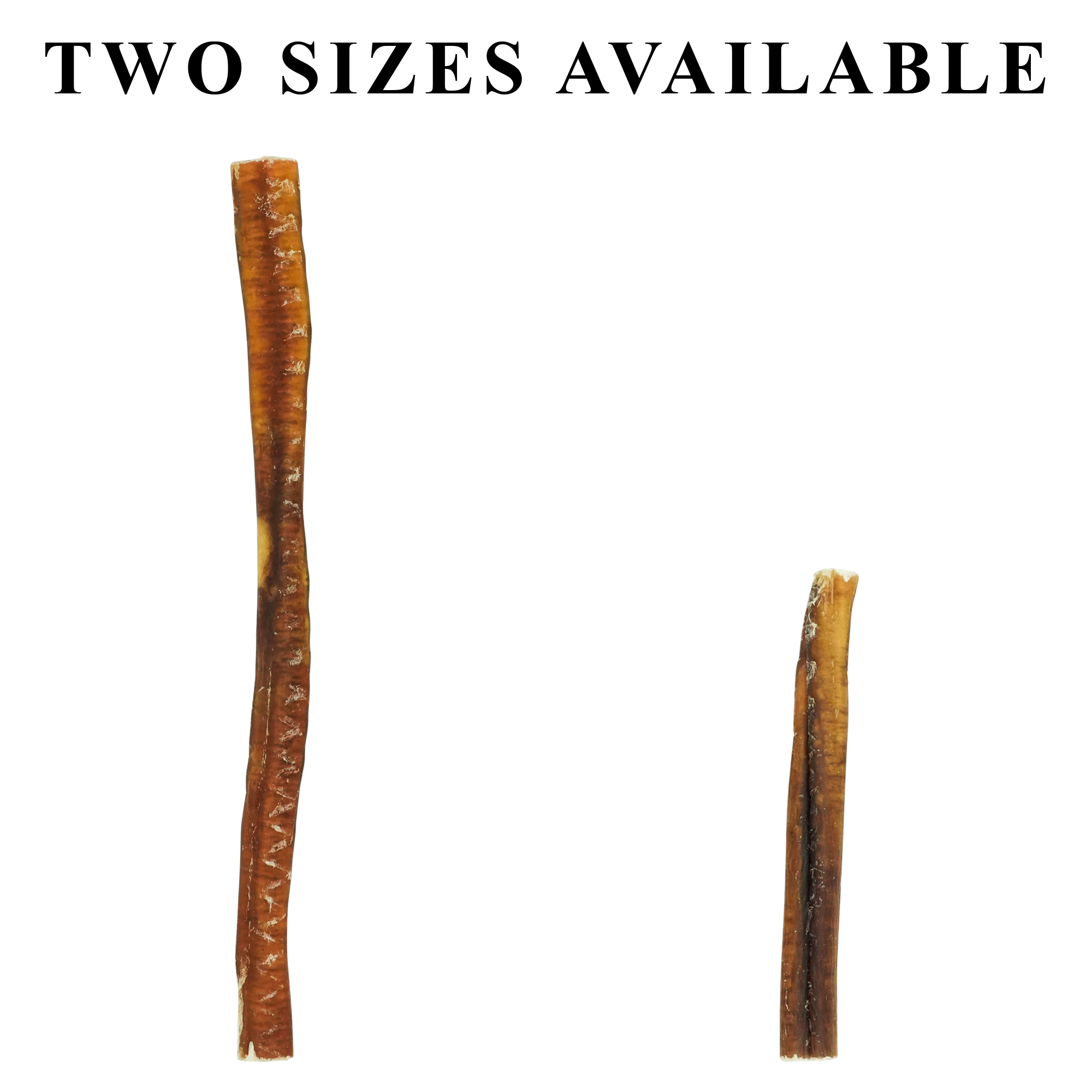 Odorless Bully Stick - 10-12"