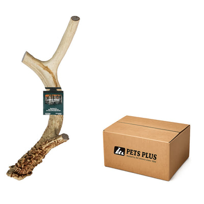 Vista Point Deer Antler - XL - Case of 15
