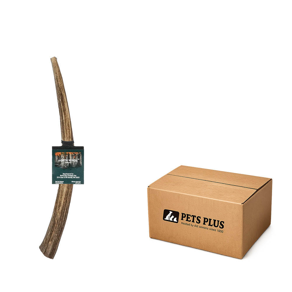 Vista Point Deer Antler - Large - Case of 25