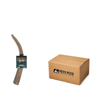 Vista Point Deer Antler - Medium - Case of 40