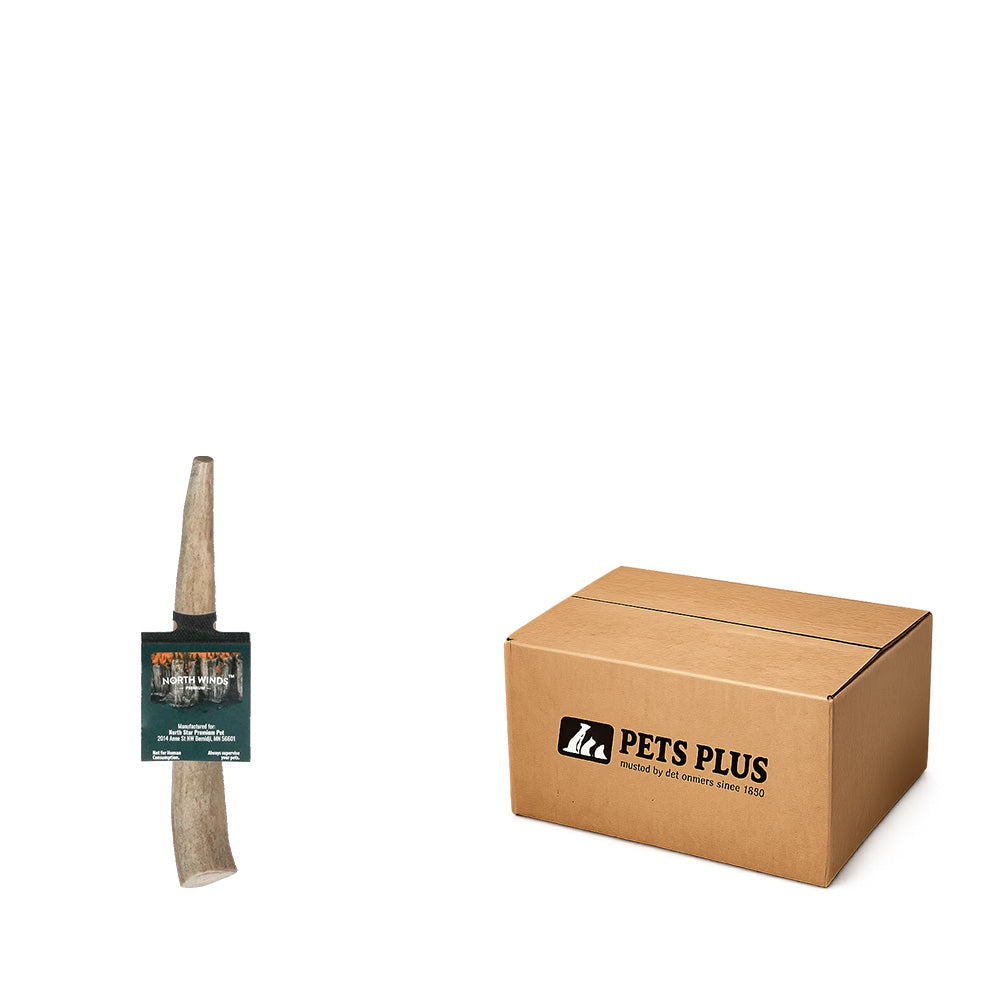Vista Point Deer Antler - Small - Case of 50