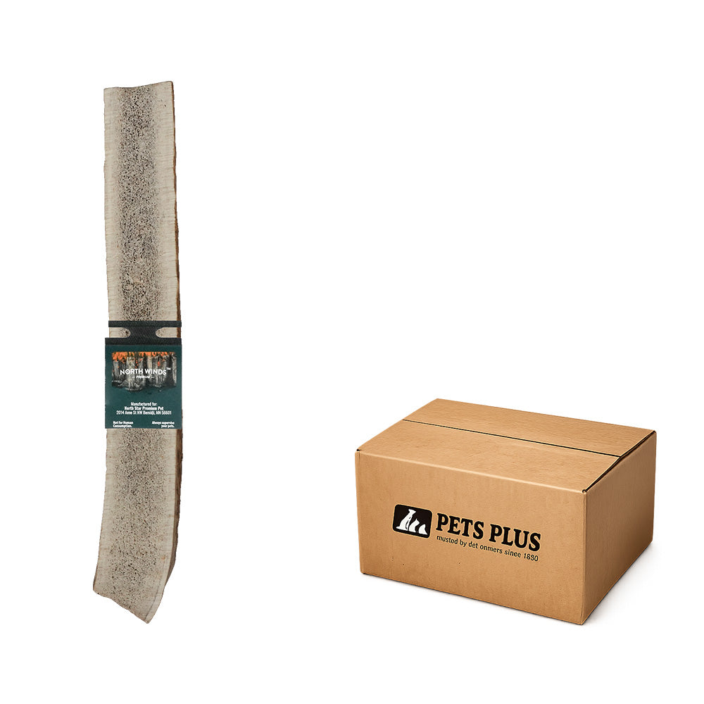 Vista Point Split Elk Antler - XL - Case of 10